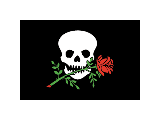 BANDIERA OSPITE A BORDO