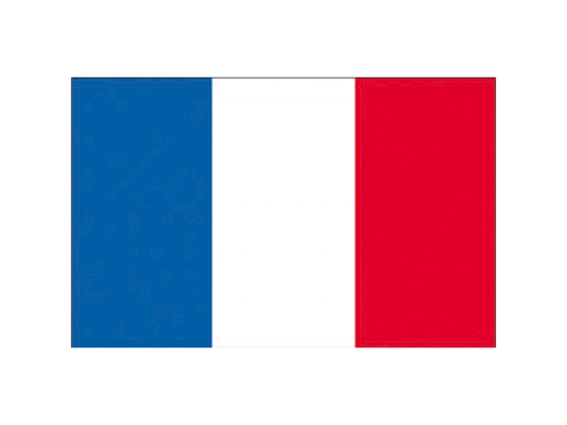 BANDIERA FRANCIA