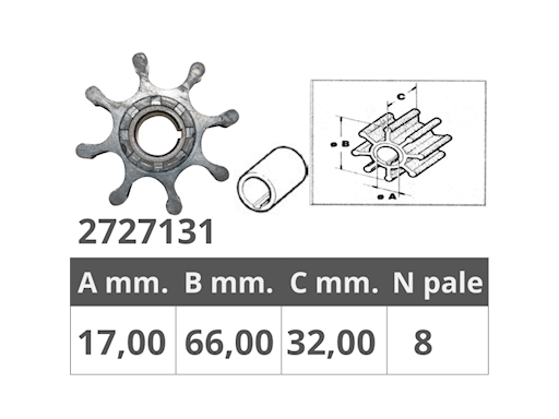 GIRANTE POMPE RENAULT 48300002-48300006-48300007
