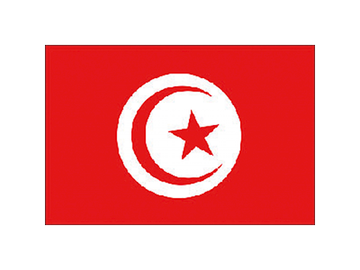 BANDIERA TUNISIA
