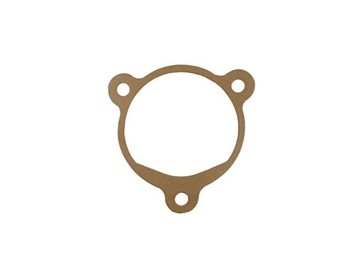 GUARNIZIONE 1985-0010