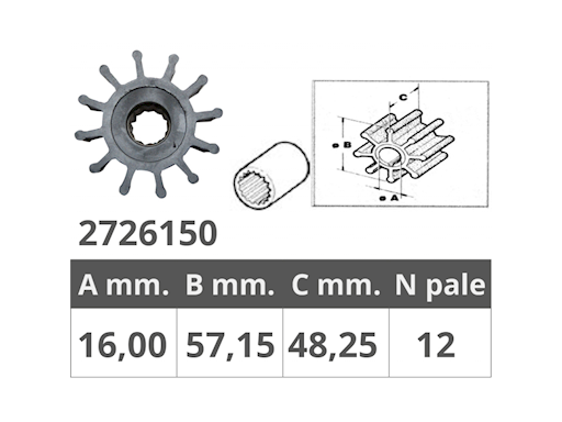 GIRANTE POMPA JABSCO 13554-6001