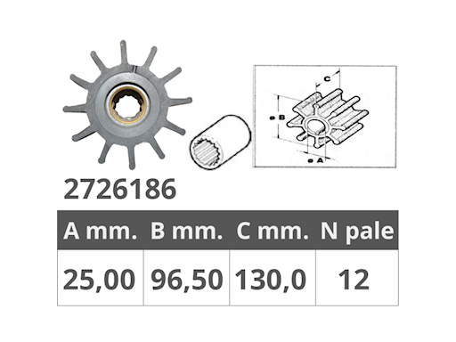 GIRANTE POMPE JOHNSON 09-0820B