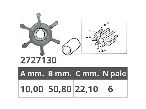 GIRANTE POMPE RENAULT 48300055/48300037